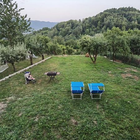 Vila Ella Vila Căpăţîneni-Ungureni Exterior foto