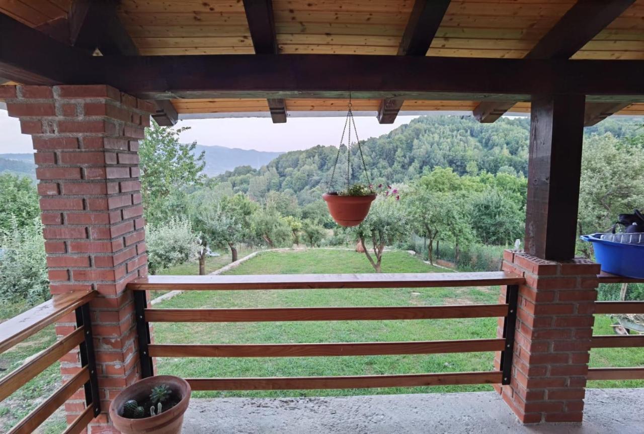 Vila Ella Vila Căpăţîneni-Ungureni Exterior foto